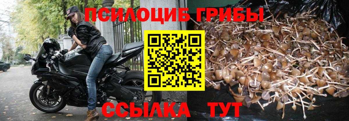 Галлюциногенные грибы Magic Shrooms  Вход с VPN  Унеча 